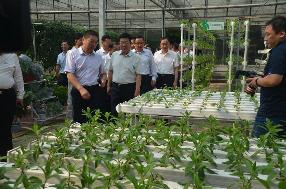 科技助農(nóng)，播撒光的種子  精準(zhǔn)扶貧，助力鄉(xiāng)村振興