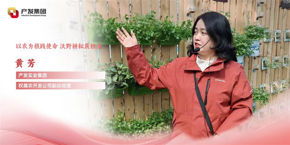 巾幗綻芳華 | 產(chǎn)發(fā)實(shí)業(yè)集團(tuán)權(quán)屬農(nóng)開發(fā)公司 黃芳：以農(nóng)為根踐使命，沃野耕耘展擔(dān)當(dāng)